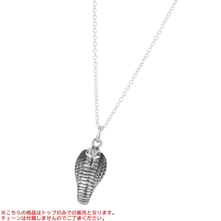 ペンダントトップ メンズ 蛇 | アクセサリーショップPIENA | 詳細画像9 