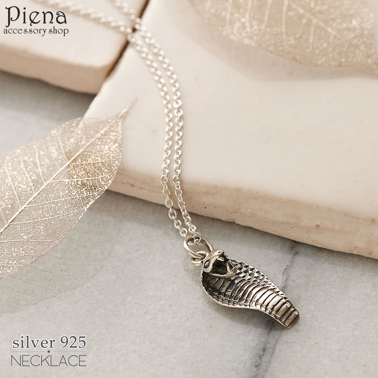 ペンダント ネックレス メンズ | アクセサリーショップPIENA | 詳細画像1 