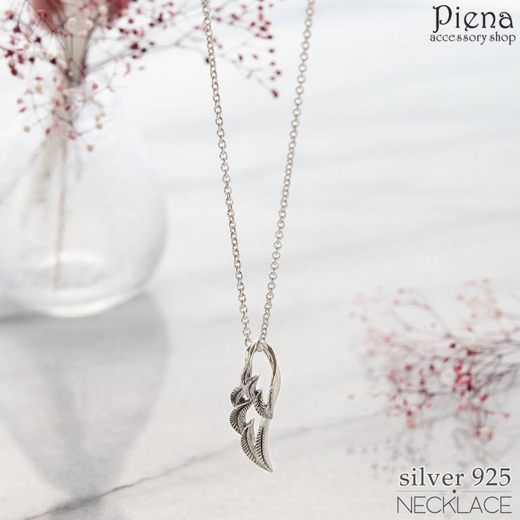 ペンダント ネックレス メンズ | アクセサリーショップPIENA | 詳細画像1 