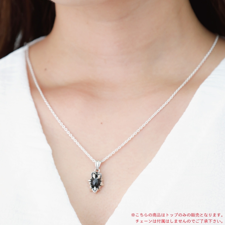 ペンダントトップ メンズ シルバー925 | アクセサリーショップPIENA | 詳細画像6 