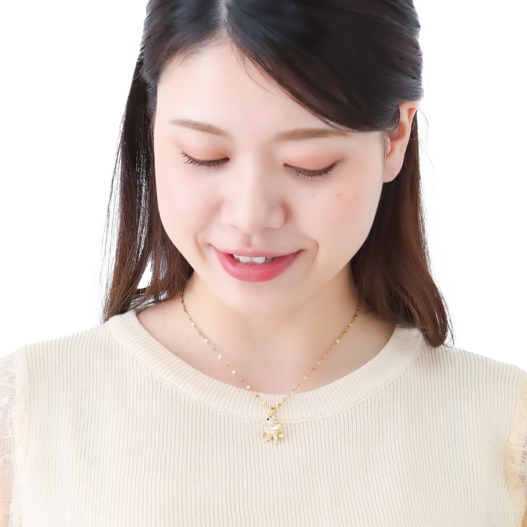 ペンダント ネックレス レディース | アクセサリーショップPIENA | 詳細画像5 