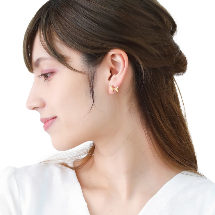 ピアス レディース サージカルステンレス製 | アクセサリーショップPIENA | 詳細画像6 