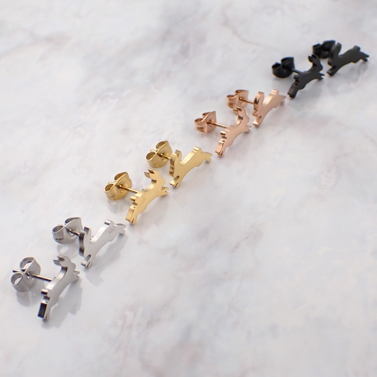 ピアス レディース サージカルステンレス製 | アクセサリーショップPIENA | 詳細画像6 