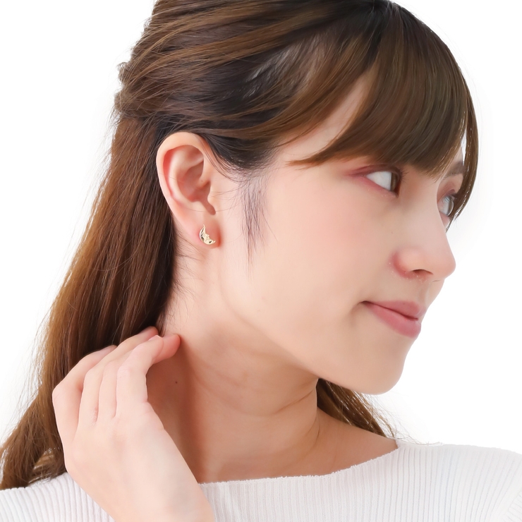 ピアス レディース チタン製ポスト | アクセサリーショップPIENA | 詳細画像5 