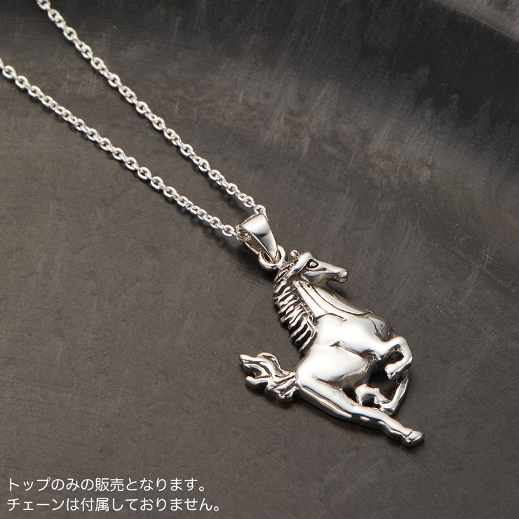 ペンダントトップ レディース メンズ | アクセサリーショップPIENA | 詳細画像7 