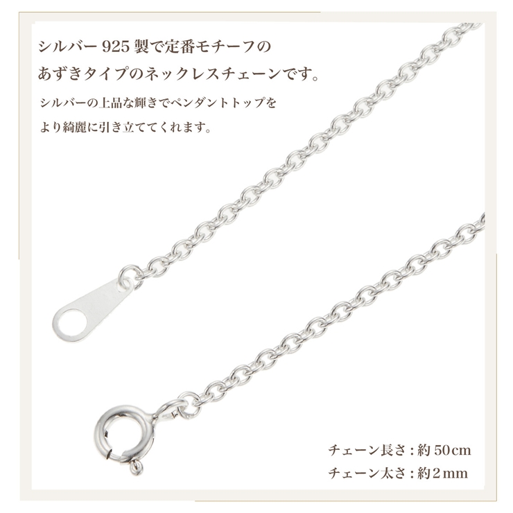 ネックレス ペンダント メンズ | アクセサリーショップPIENA | 詳細画像3 