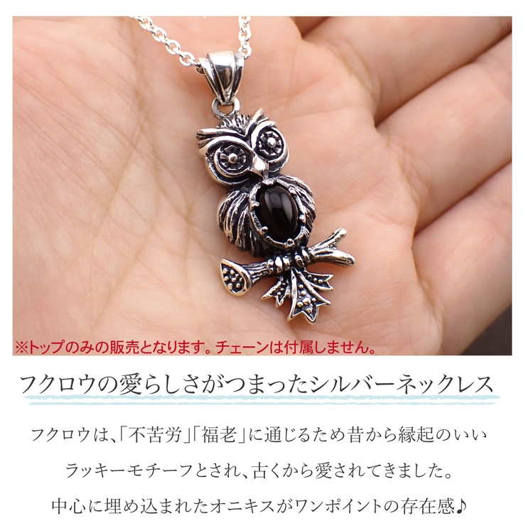 ペンダントトップ ネックレストップのみ メンズ[品番：PENA0037281