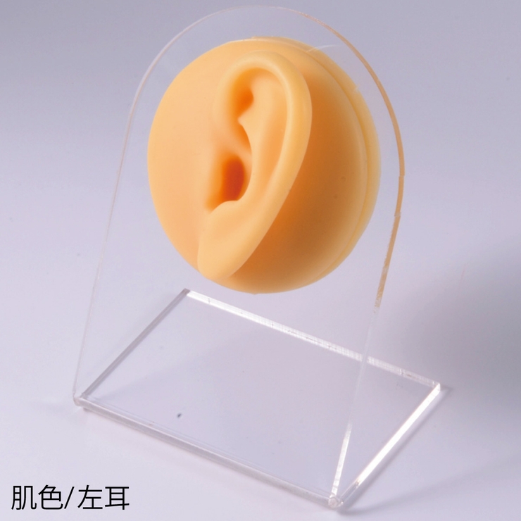 ピアス展示用 マネキン シリコンディスプレイ | アクセサリーショップPIENA | 詳細画像8 
