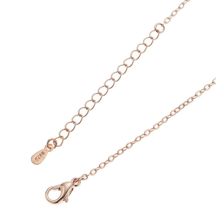 ネックレス イルカ シルバー925 | アクセサリーショップPIENA | 詳細画像16 