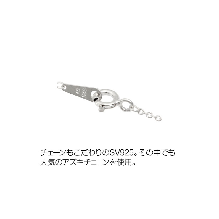 ペンダント メンズ LARA | アクセサリーショップPIENA | 詳細画像13 