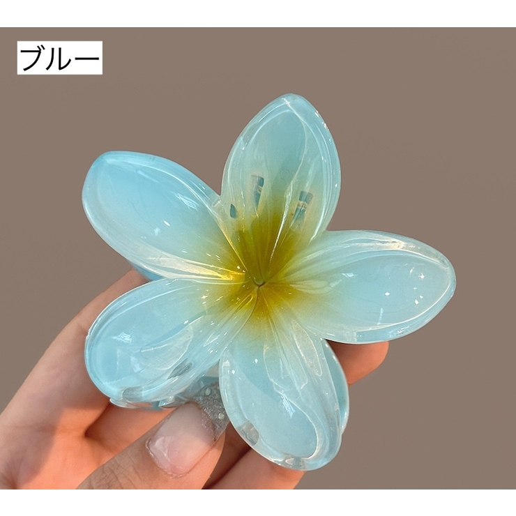 ヘアクリップ バンスクリップ レディース | PlusNao | 詳細画像12 