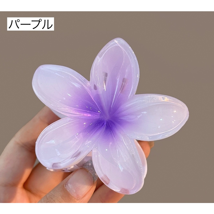 ヘアクリップ バンスクリップ レディース | PlusNao | 詳細画像13 