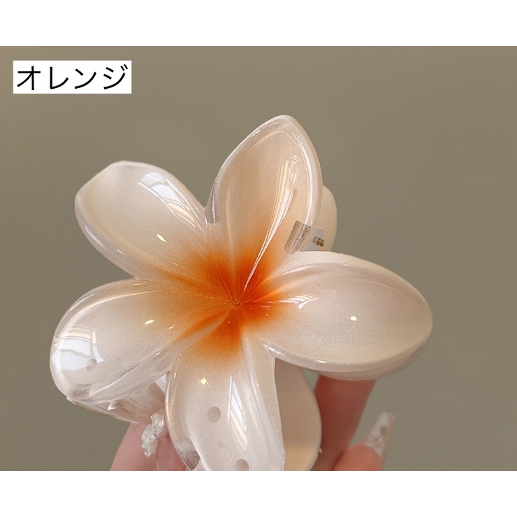 ヘアクリップ バンスクリップ レディース | PlusNao | 詳細画像14 