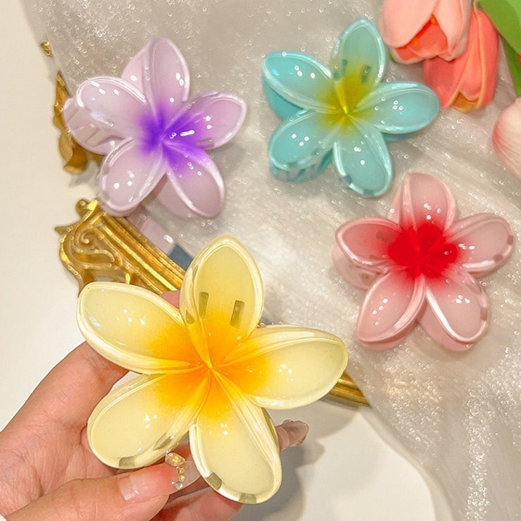 ヘアクリップ バンスクリップ レディース | PlusNao | 詳細画像2 