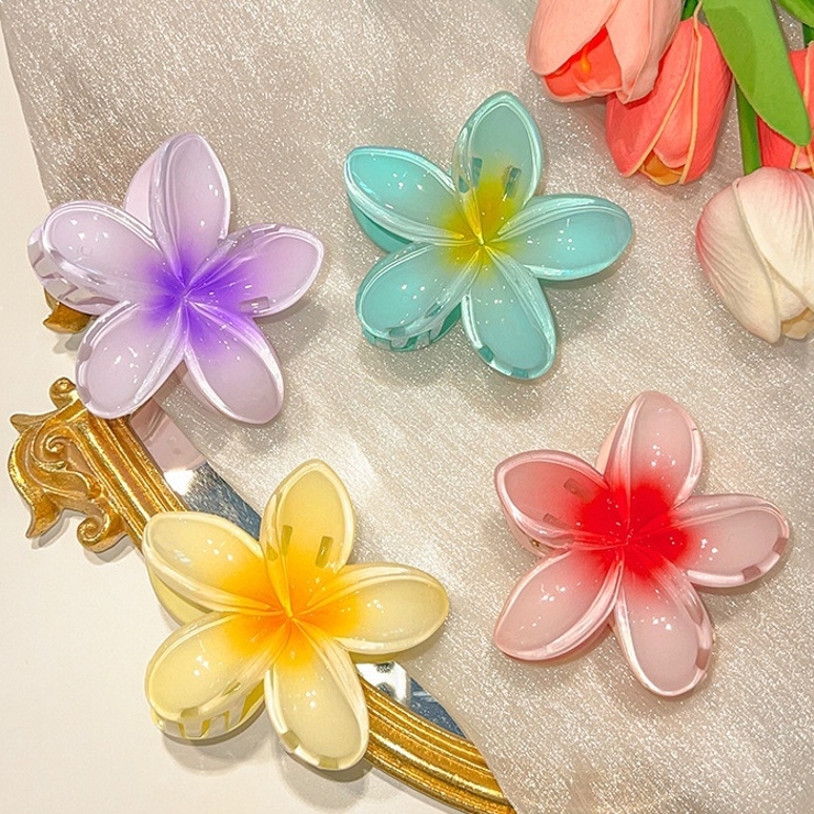 ヘアクリップ バンスクリップ レディース | PlusNao | 詳細画像3 