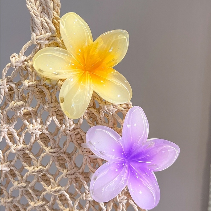 ヘアクリップ バンスクリップ レディース | PlusNao | 詳細画像8 