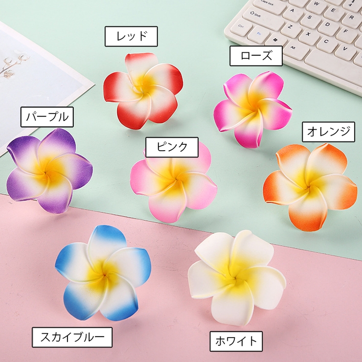ヘアクリップ 同色2個セット レディース | PlusNao | 詳細画像11 