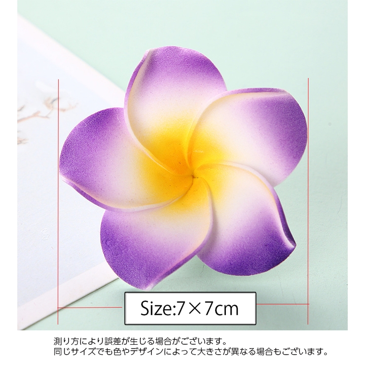 ヘアクリップ 同色2個セット レディース | PlusNao | 詳細画像12 