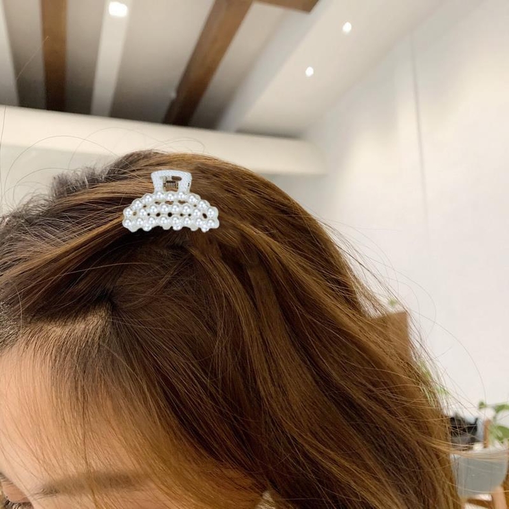 ヘアクリップ 2個セット ミニバンスクリップ[品番：FQ000140950