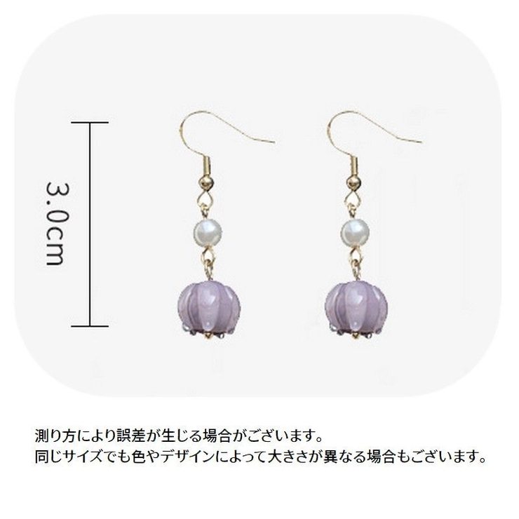 フックピアス イヤリング アクセサリー | PlusNao | 詳細画像10 