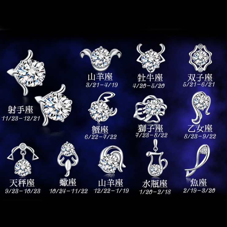 ピアス スタッドピアス 十二星座 | PlusNao | 詳細画像19 