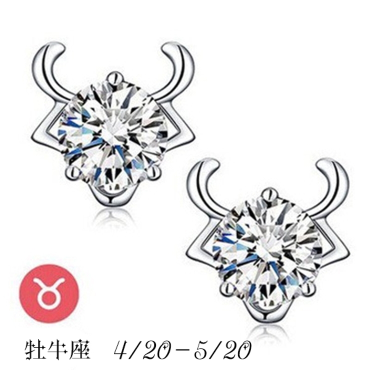 ピアス スタッドピアス 十二星座 | PlusNao | 詳細画像8 