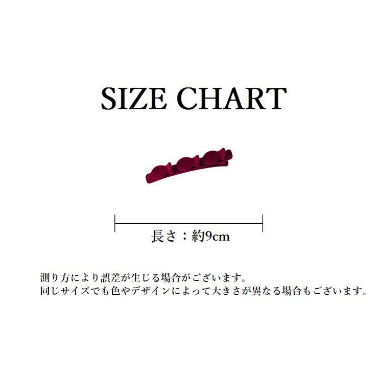 ヘアクリップ くちばしクリップ レディース | PlusNao | 詳細画像15 
