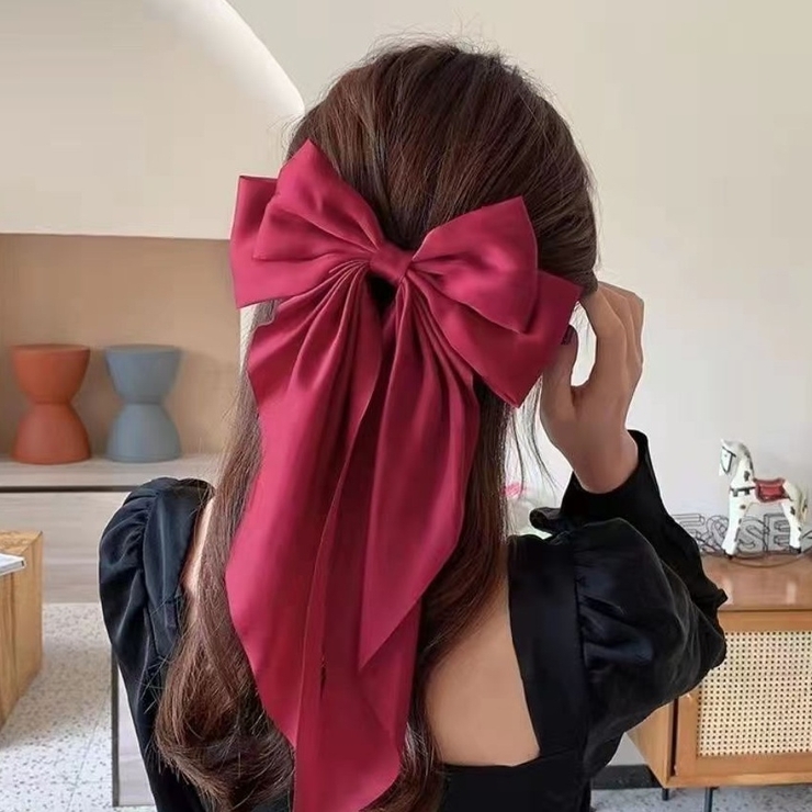 バレッタ ヘアアクセサリー レディース | PlusNao | 詳細画像4 