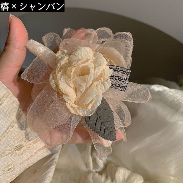 バンスクリップ ヘアクリップ レディース | PlusNao | 詳細画像4 