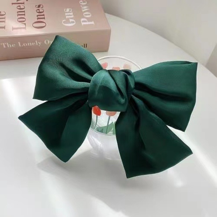 バレッタ レディース ヘアアクセサリー | PlusNao | 詳細画像6 