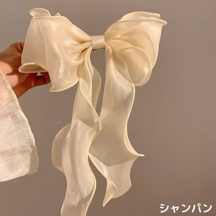 バレッタ レディース ヘアアクセサリー | PlusNao | 詳細画像12 