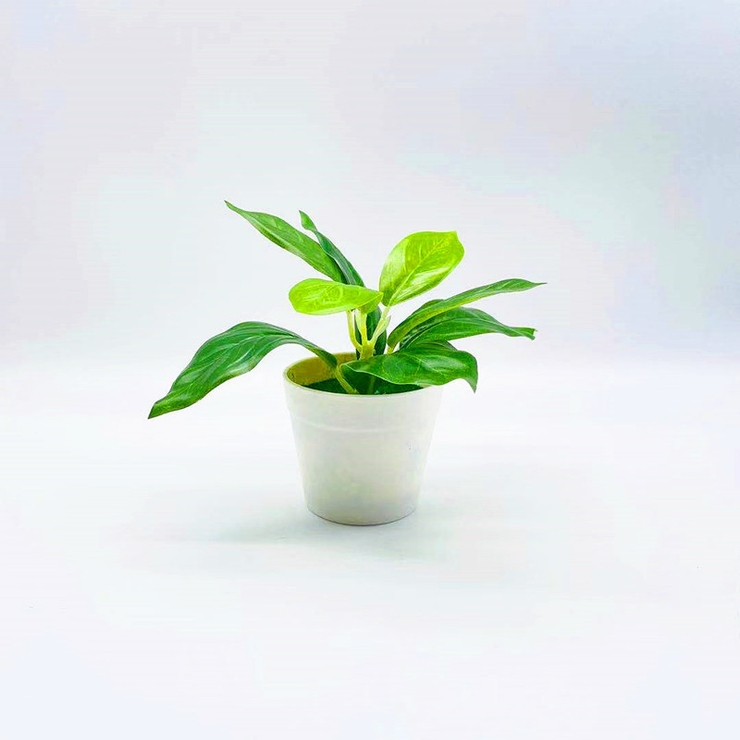 フェイクグリーン 造花 人工観葉植物 | PlusNao | 詳細画像4 