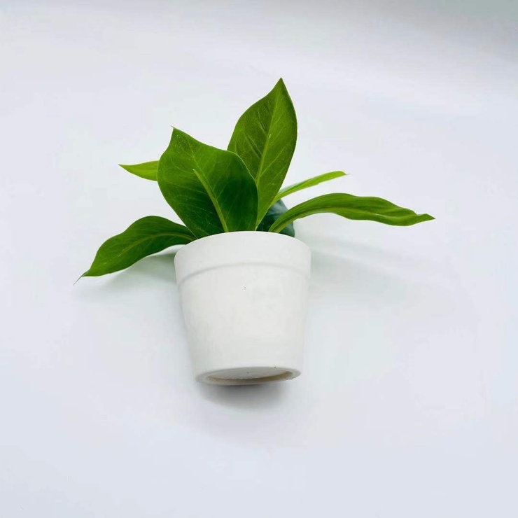 フェイクグリーン 造花 人工観葉植物 | PlusNao | 詳細画像6 