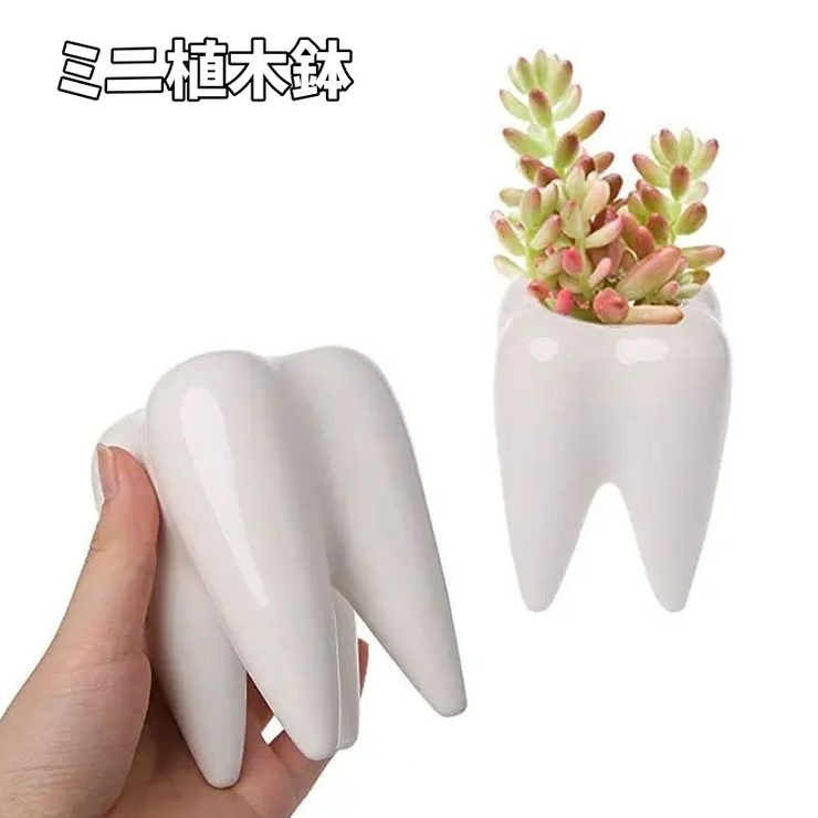 植木鉢 フラワーポット 多肉植物 | PlusNao | 詳細画像1 