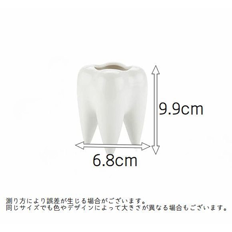 植木鉢 フラワーポット 多肉植物 | PlusNao | 詳細画像7 