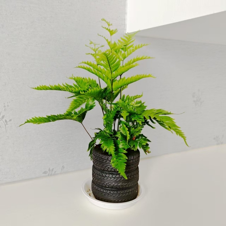 ペンホルダー ペン立て メイクブラシ立て | PlusNao | 詳細画像4 