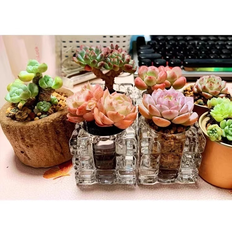 ミニ植木鉢 3個セット キャンドルホルダー | PlusNao | 詳細画像5 