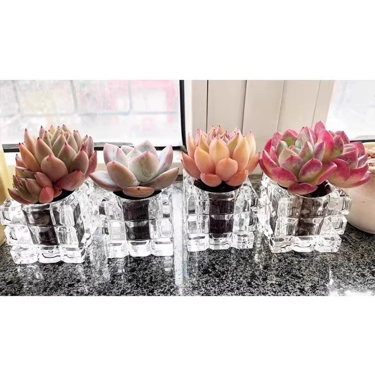 ミニ植木鉢 3個セット キャンドルホルダー | PlusNao | 詳細画像6 