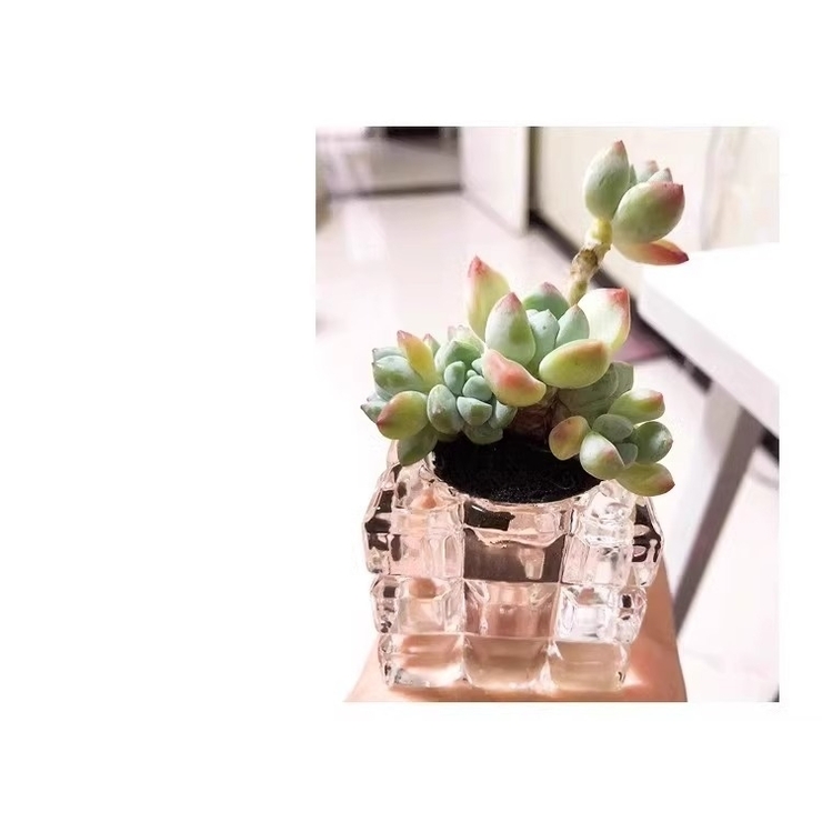 ミニ植木鉢 3個セット キャンドルホルダー | PlusNao | 詳細画像9 