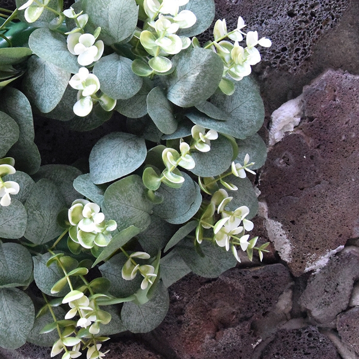 グリーンリース リース 壁飾り | PlusNao | 詳細画像15 