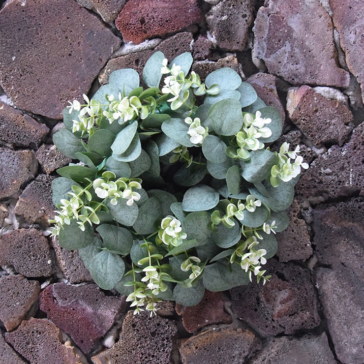 グリーンリース リース 壁飾り | PlusNao | 詳細画像7 