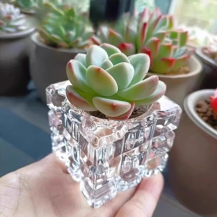 花瓶 フラワーポット フラワーベース | PlusNao | 詳細画像2 