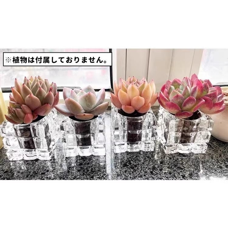 花瓶 フラワーポット フラワーベース | PlusNao | 詳細画像6 