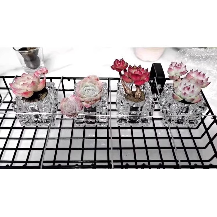 花瓶 フラワーポット フラワーベース | PlusNao | 詳細画像7 