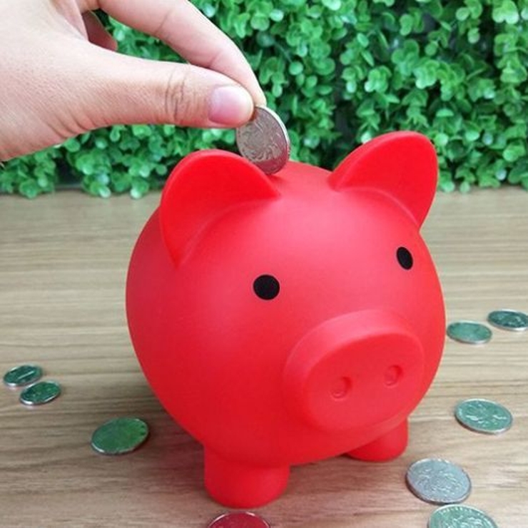 貯金箱 豚 ぶた | PlusNao | 詳細画像2 