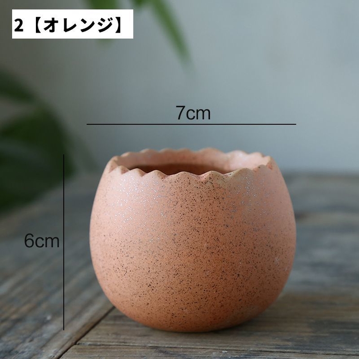 花瓶 フラワーポット 単品 | PlusNao | 詳細画像5 