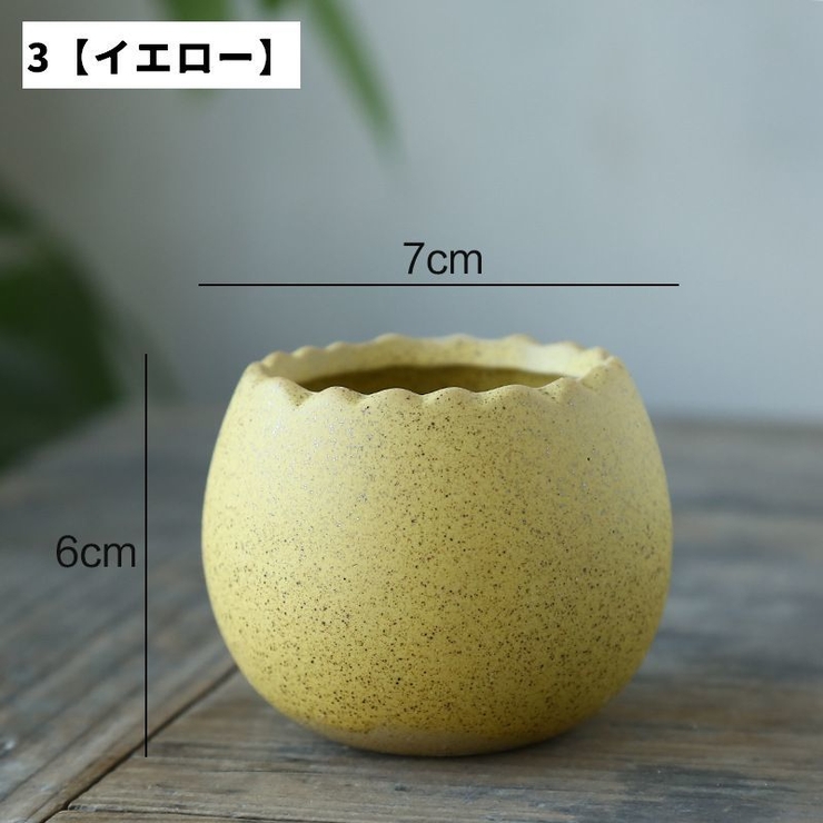 花瓶 フラワーポット 単品 | PlusNao | 詳細画像6 