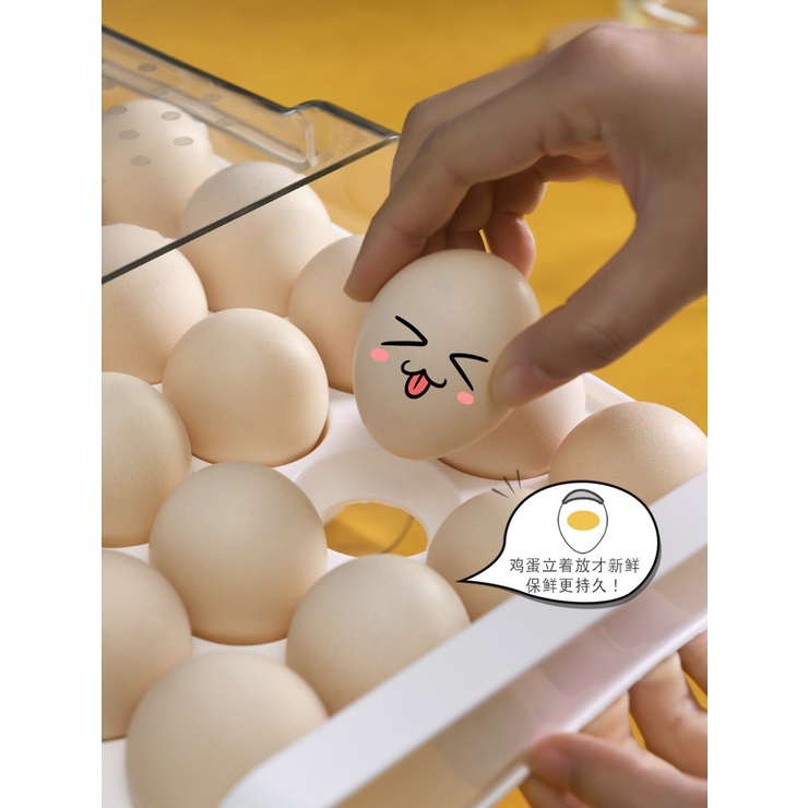 卵ケース 卵入れ エッグホルダー | PlusNao | 詳細画像11 
