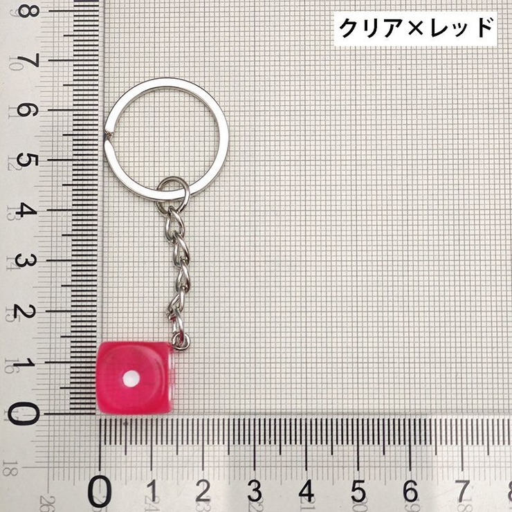 キーホルダー キーリング バックチャーム | PlusNao | 詳細画像13 