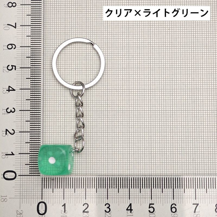 キーホルダー キーリング バックチャーム | PlusNao | 詳細画像17 